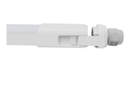 DUALRAYS 600mm 20 Watt IP65 LED مصباح ثلاثي السقف مع سطح معلق مثبت