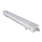 Dualrays Light LED Triproof ضوء عالي الكفاءة مع غطاء حليبي