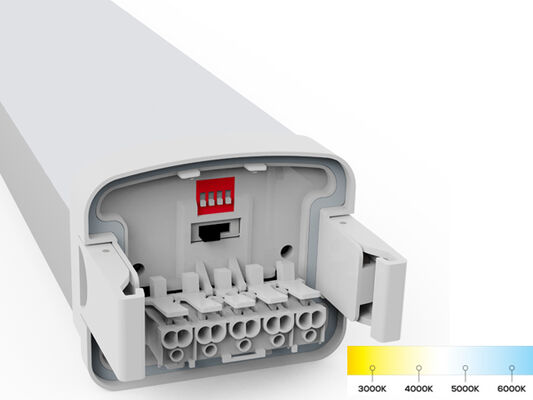 مصباح D5 LED المقاوم للرطوبة مع طاقة قابلة للتبديل بواسطة مفتاح DIP و 3CCT و 3/5 * 1.5 / 2.5 مم2 اختياري للأسلاك