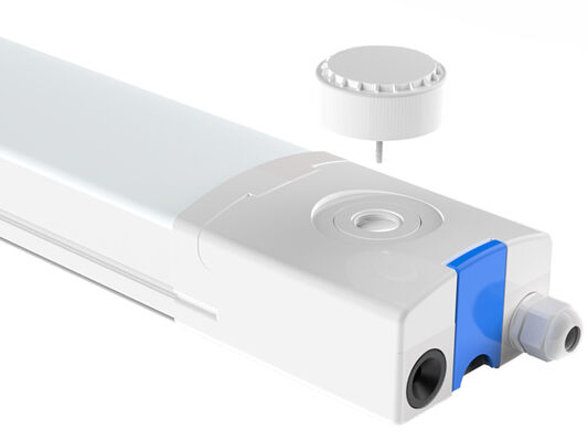 يتم إرسال DUALRAYS Europe Stocking LED Highbay Light مباشرة من هولندا خلال 3 أيام عمل وخدمة ما بعد البيع المحلية