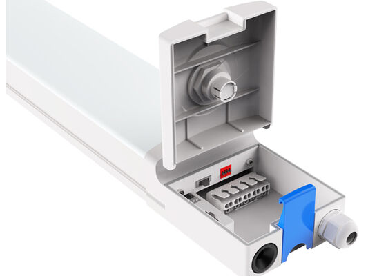 يتم إرسال DUALRAYS Europe Stocking LED Highbay Light مباشرة من هولندا خلال 3 أيام عمل وخدمة ما بعد البيع المحلية