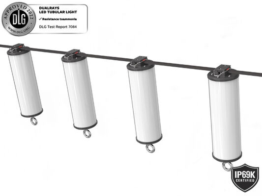 Dualrays D2 Series 50W خارجي وداخلي LED ثلاثي الإثبات مصباح LED 160LMW 5 أقدام طويلة