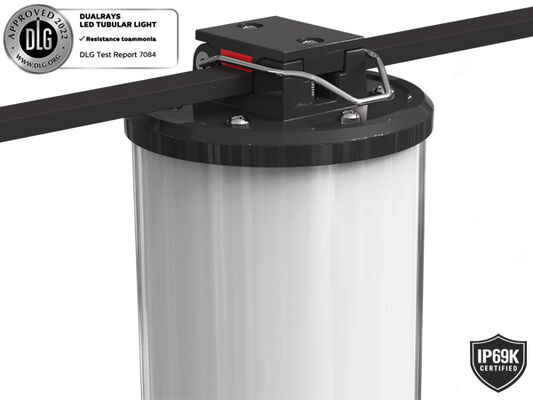 إضاءة تحت الأرض للطوارئ LED Tri Proof Light Full PC Housing IP65 IK08