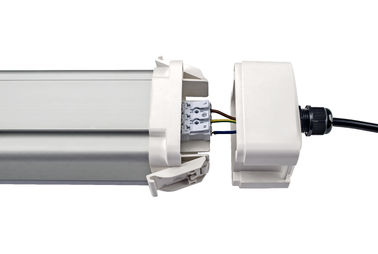 Dualrays D5 Series 2ft 20W مبيت بلاستيكي LED ثلاثي برهان مصباح IP66 IK10 Boke مزود طاقة مع مستشعر ميكروويف