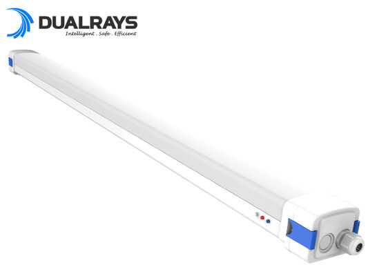 5ft / 62W D5 LED ضوء مقاوم للرطوبة مع طاقة قابلة للتحويل DIP / كفاءة 3CCT 160LPW ضمان 5 سنوات